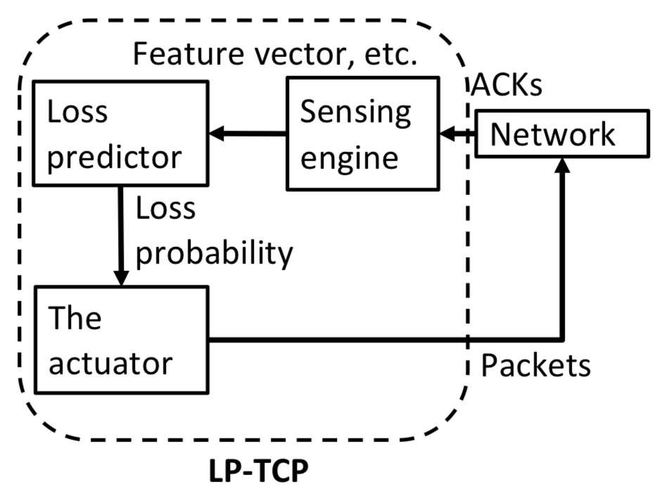LP-TCP